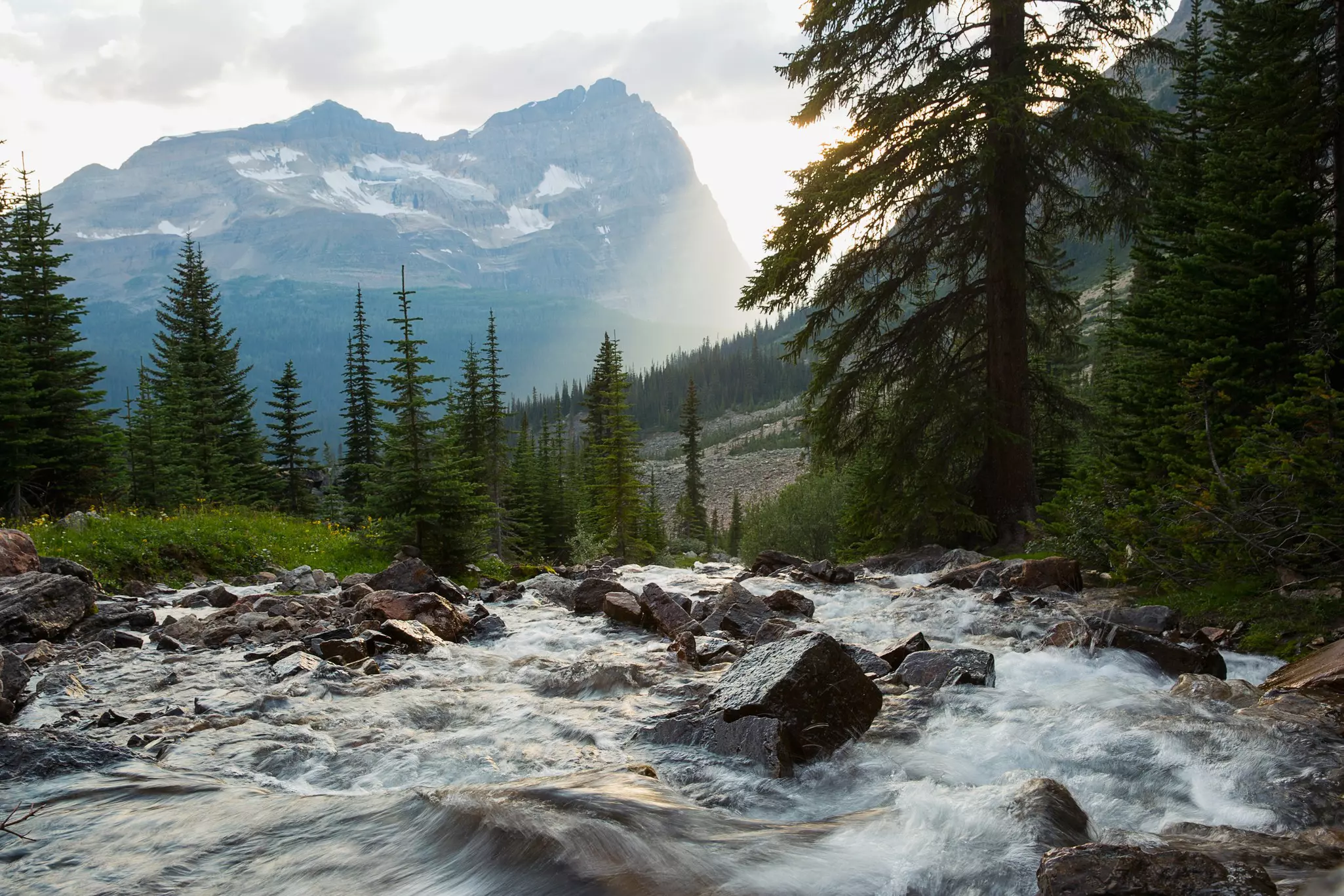 Splashing mountain river at Kicking Horse, British Columbia, Canada