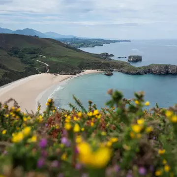 The stunning Playa Torimbia beach, Asturias, Spain. Cavan-Images/Shutterstock