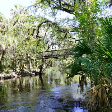 Hillsborough river state park at Tampa, Florida.; Shutterstock ID 1809422152;