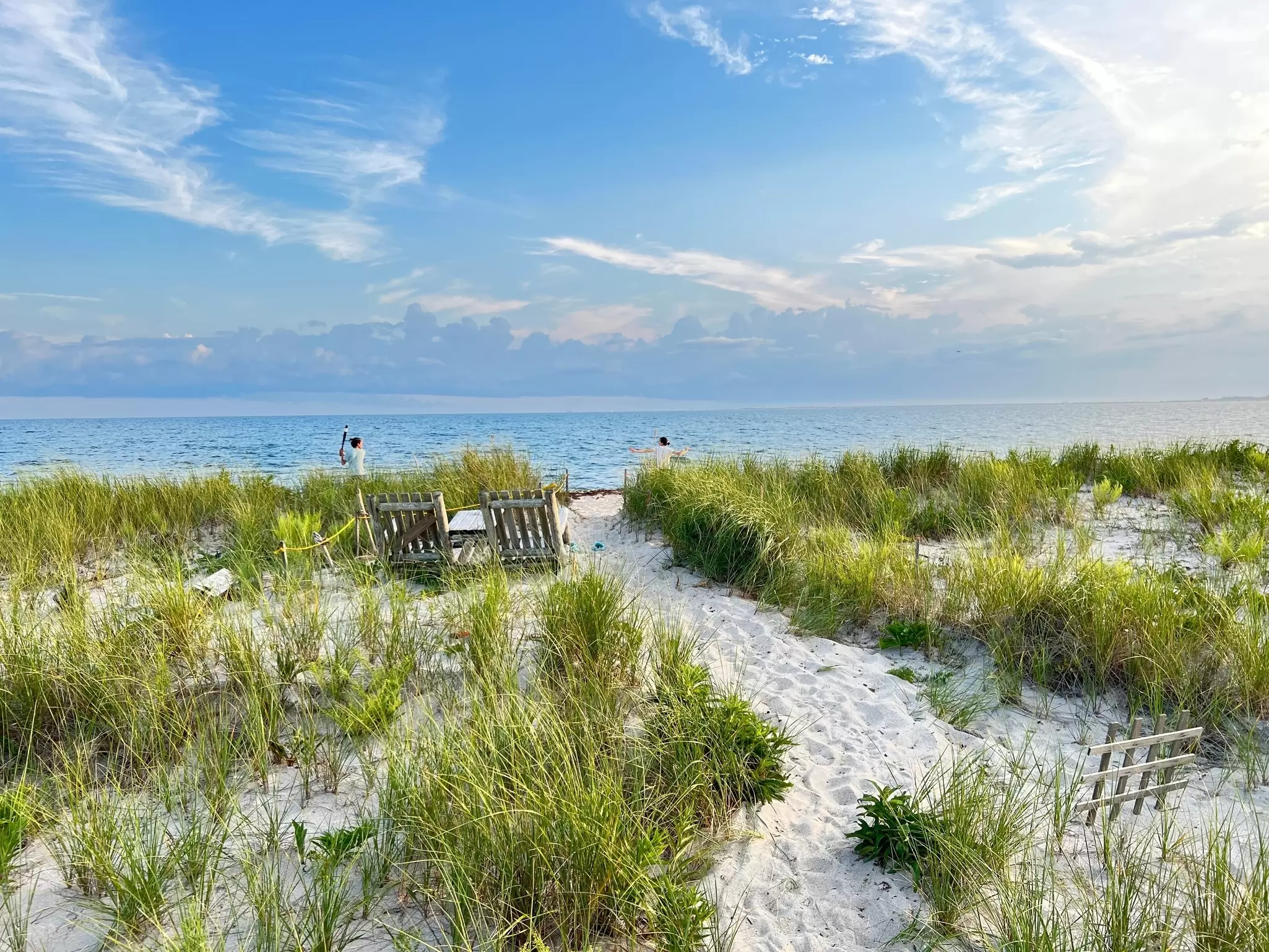 Cape Cod shoreline in Massachusetts. Life Looks/Shutterstock