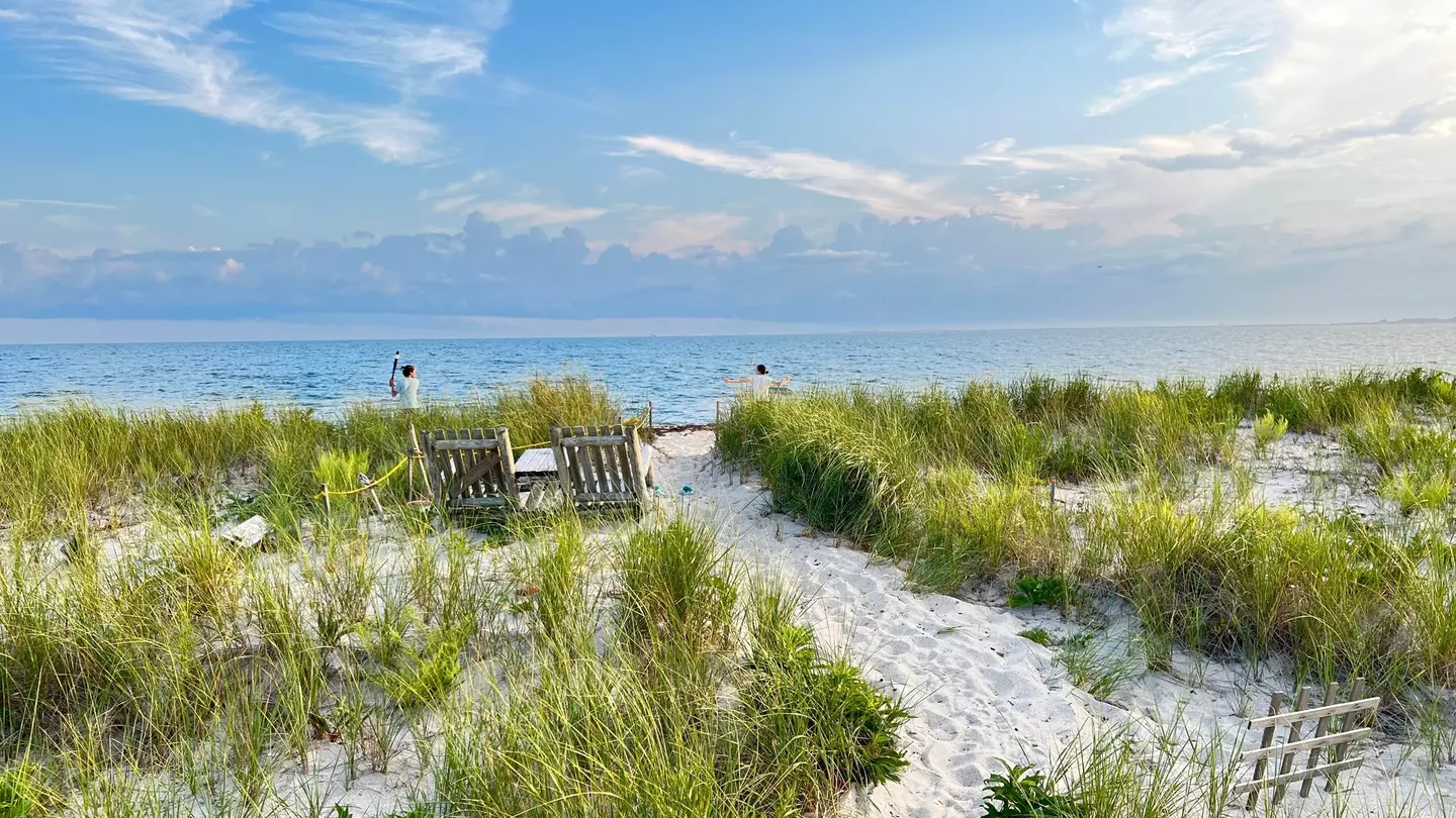 Cape Cod shoreline in Massachusetts. Life Looks/Shutterstock