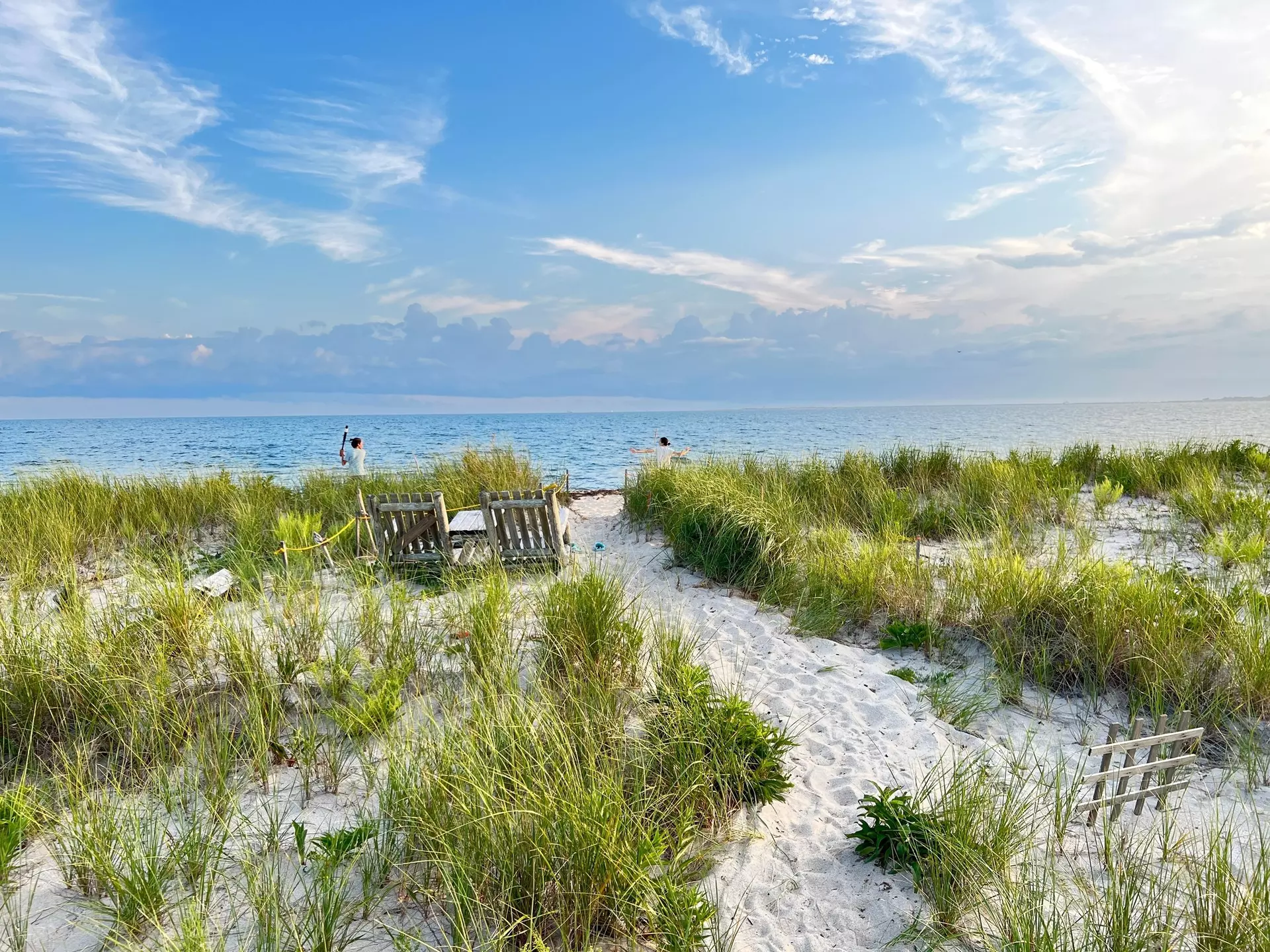 Cape Cod shoreline in Massachusetts. Life Looks/Shutterstock
