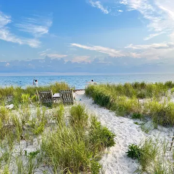 Cape Cod shoreline in Massachusetts. Life Looks/Shutterstock