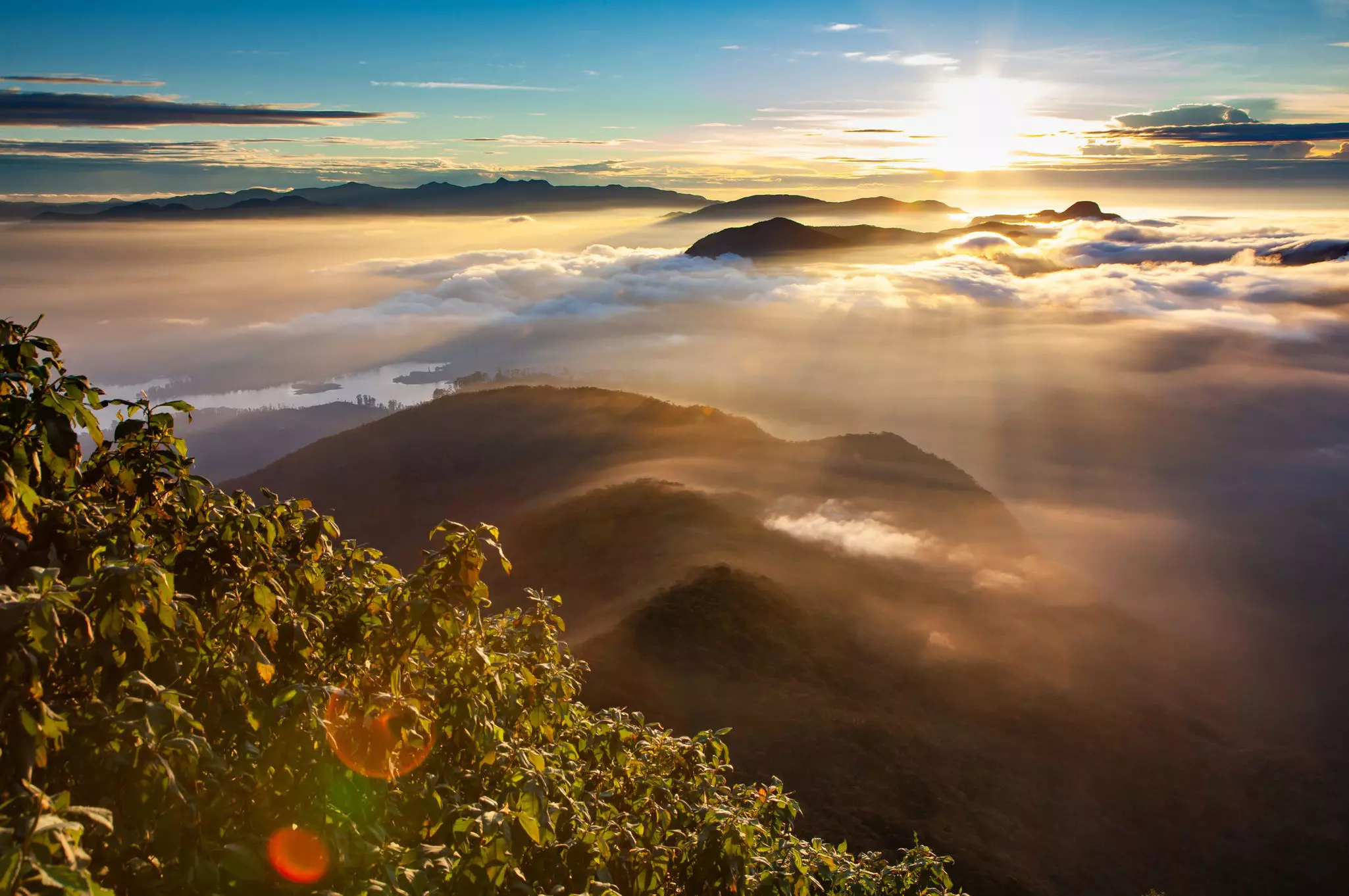 Sunrise from high on a mountain looking out at other mountains peeking above the clouds with a tree in the close foreground.