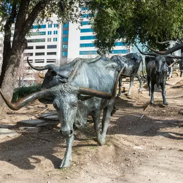 Dallas, Texas, United States of America - December 31, 2016. Texas longhorns forming a part of a huge bronze monument of 40  larger-than-life longhorns in Pioneer Plaza in Dallas, TX.   License Type: media  Download Time: 2021-07-18T21:45:51.000Z  User: AMccarthy_lonelyplanet  Is Editorial: Yes  purchase_order:   