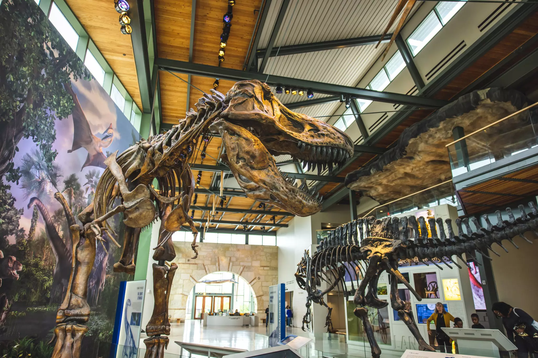 The expansive dinosaur display at the Witte Museum is an ideal indoor activity  © Benjamin Yanto / Lonely Planet