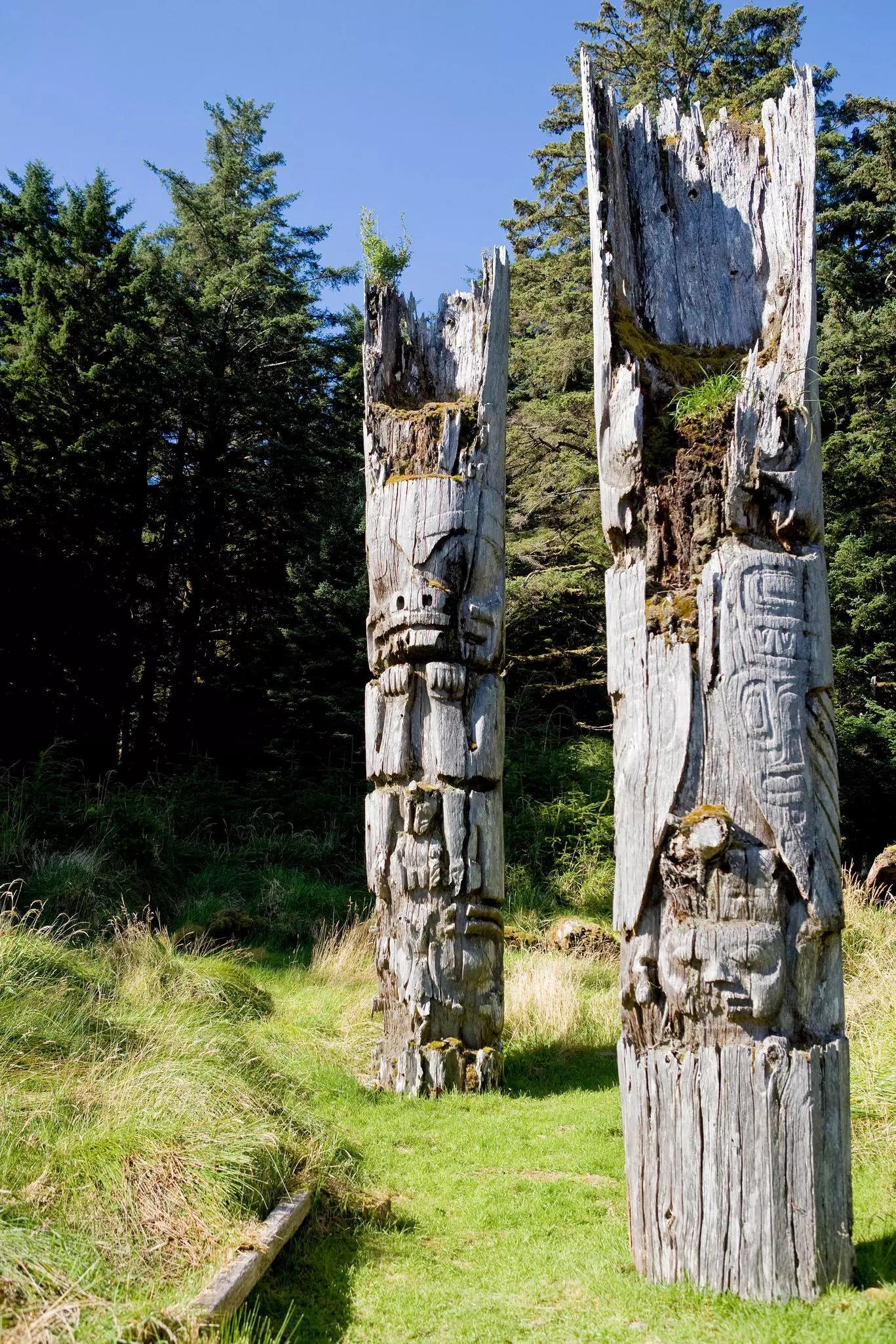 Historic totem poles are an impressive sight in Haida. © National Geographic Image Collection/Alamy Stock Photo