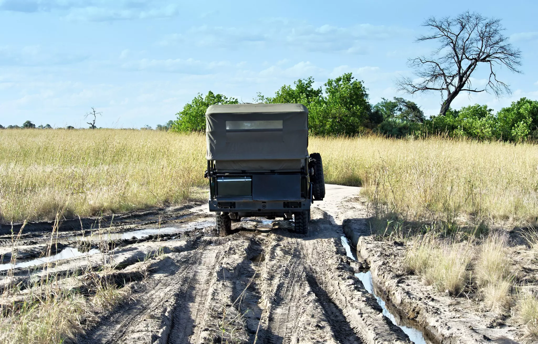 Yeah, you're very likely to need a 4WD in Botswana © brytta / Getty Images