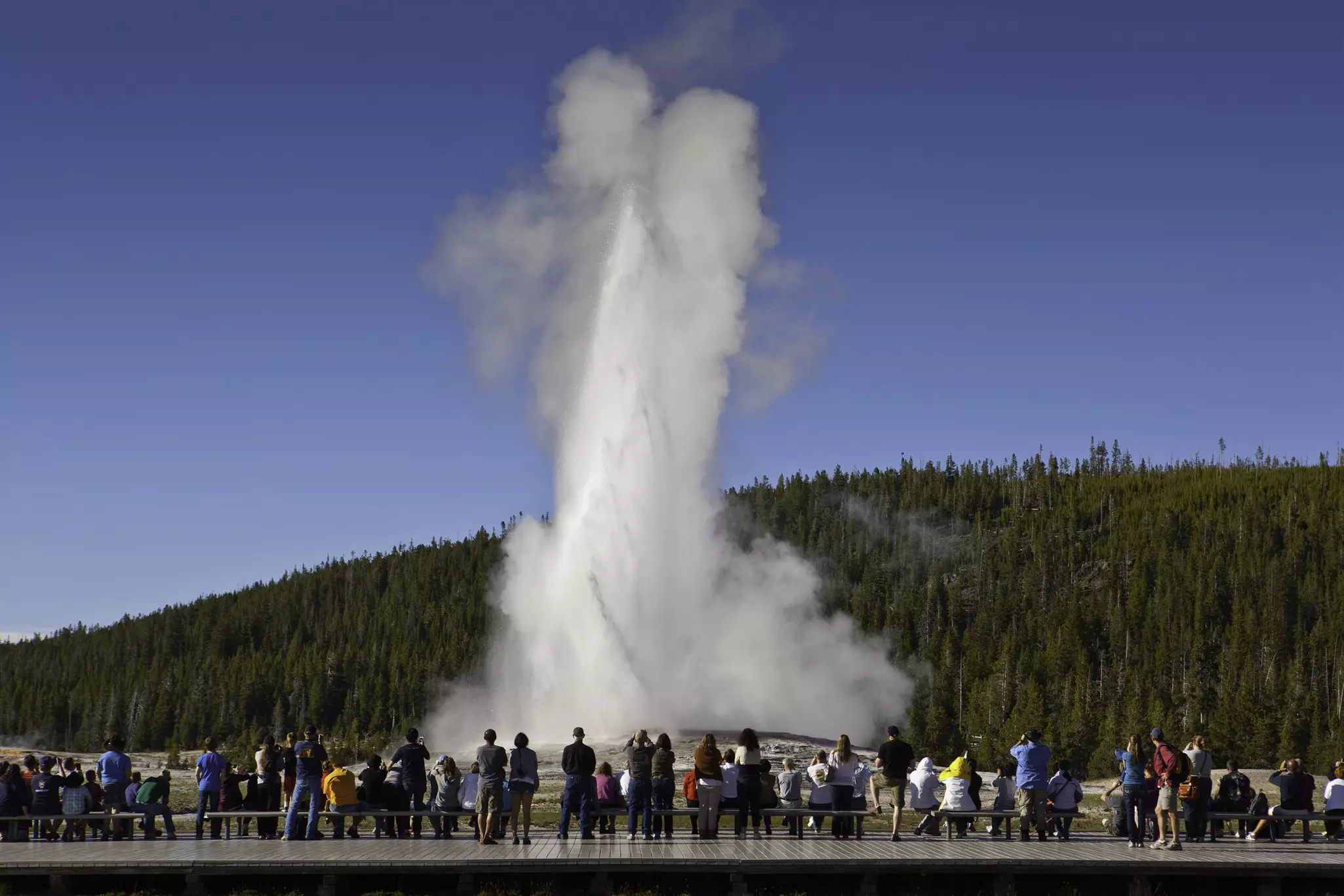 Tourists watching Old Faithful, Yellowstone National Park