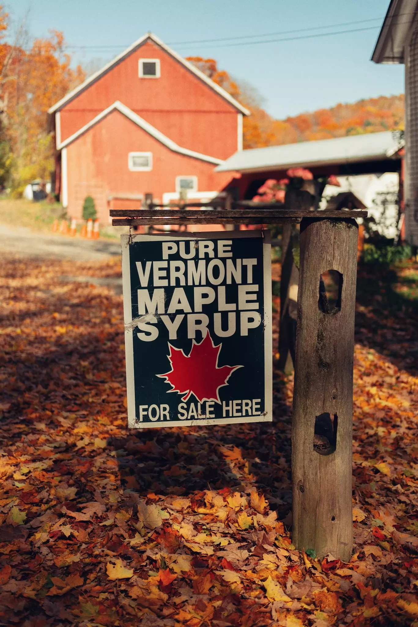Don't go home without stocking up on Vermont maple syrup. Lizzie Nelson/Shutterstock