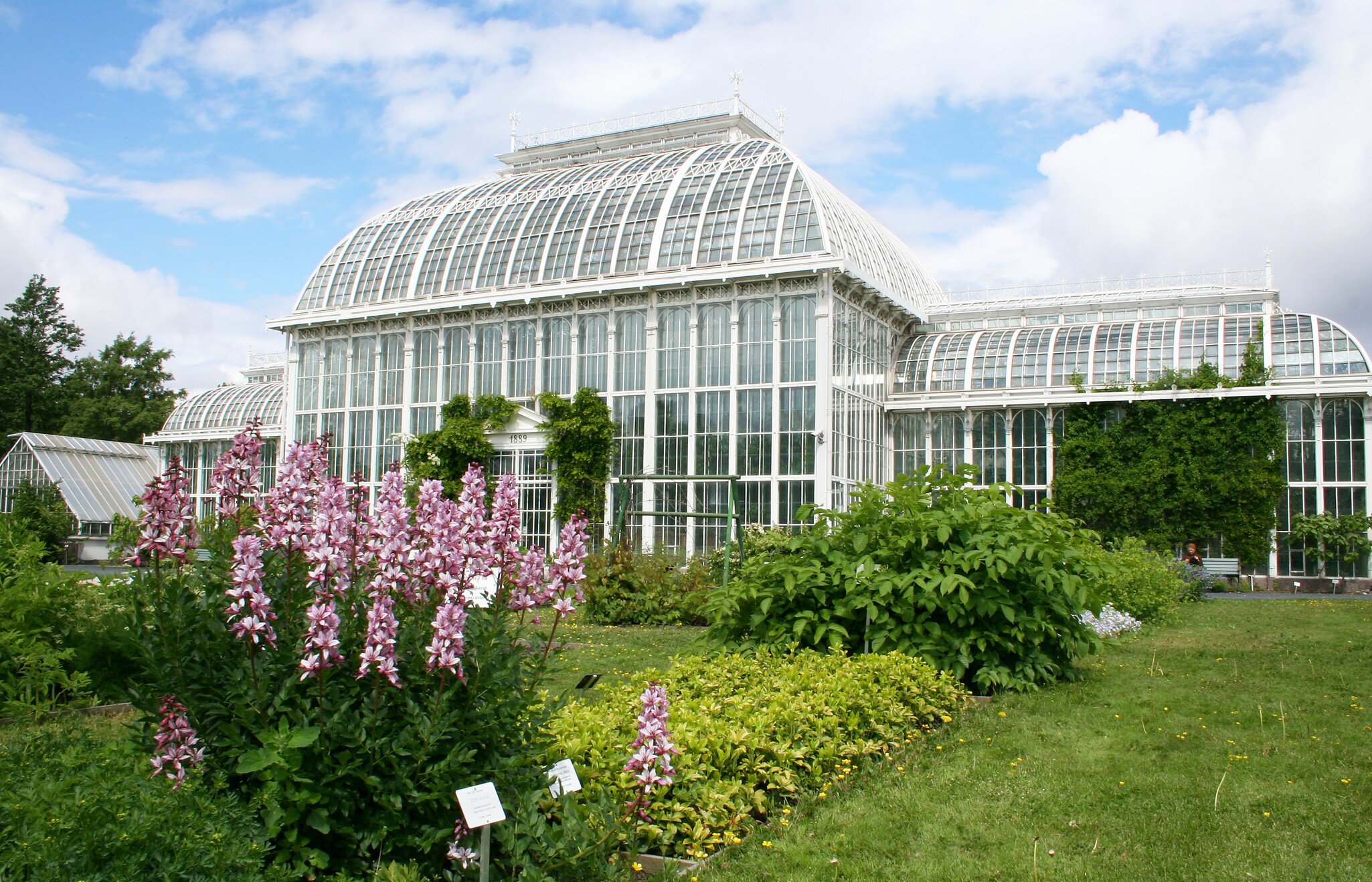Helsinki botanical garden
14046694
park, green, trees, grass, garden, public, plants, summer, bushes, flowers, various, variety, species, finland, helsinki, building, botanical, greenhouse
