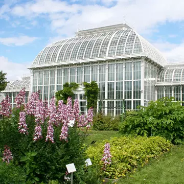 Helsinki botanical garden
14046694
park, green, trees, grass, garden, public, plants, summer, bushes, flowers, various, variety, species, finland, helsinki, building, botanical, greenhouse