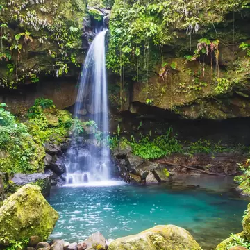 A slender waterfall dropping from a mossy overhang into a still turquoise pool, enclosed by ferns, vines and rainforest.