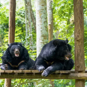A large moon shines over London.