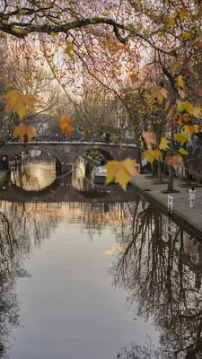 A canal runs through a city. It's surrounded by autumn trees and quiet streets.