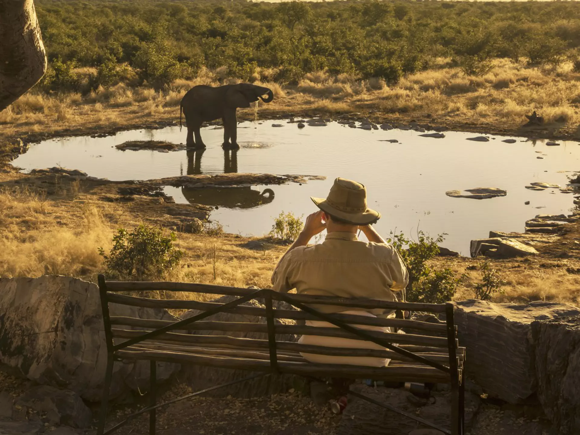 Man watching a drinking elephant