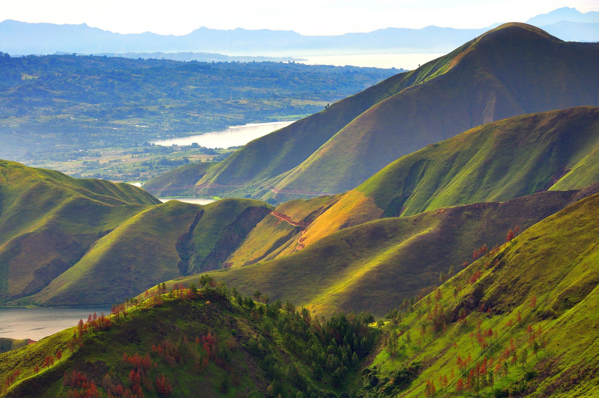 Colorful of Bukit Barisan