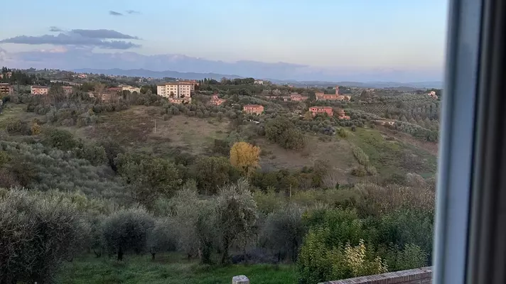 The hotel's views of Siena.