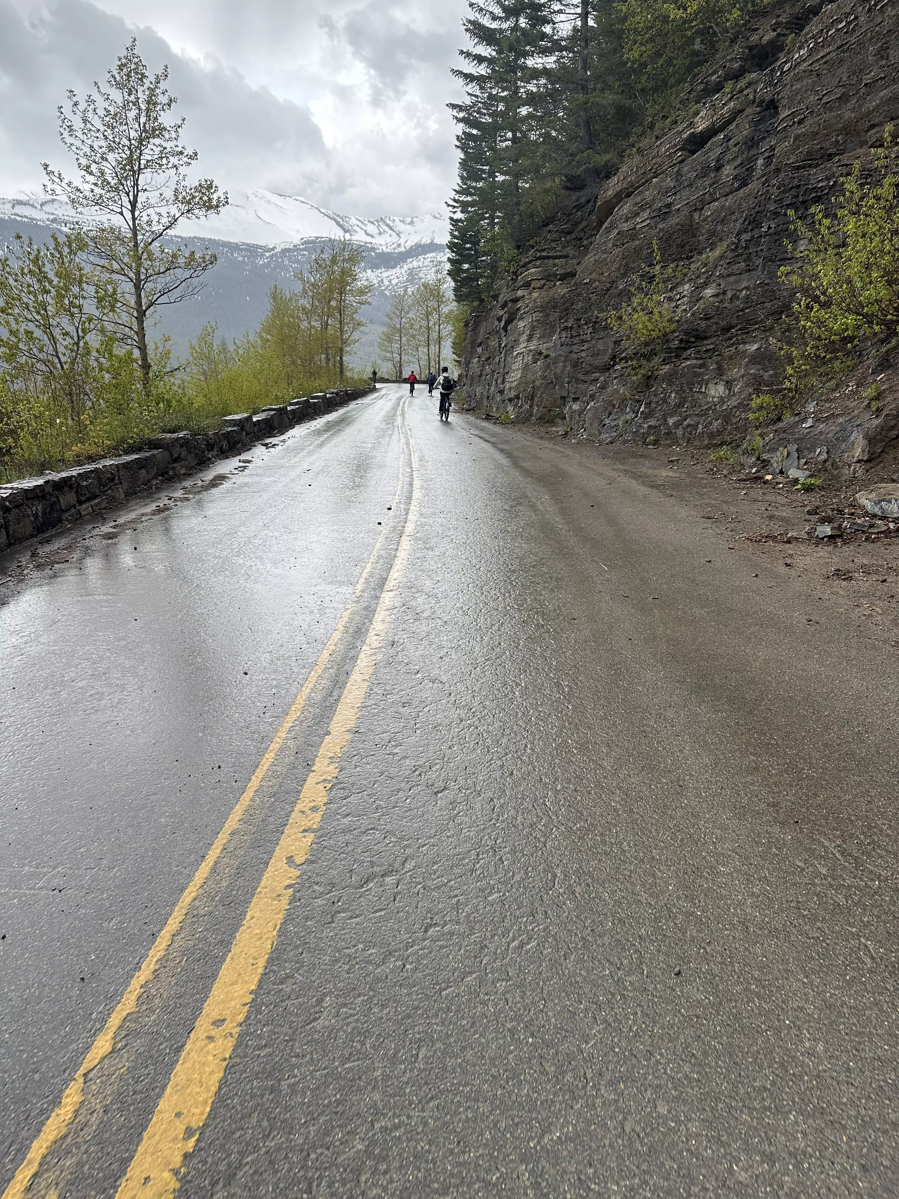 Biking Going-to-the-Sun Road in Glacier National Park. 