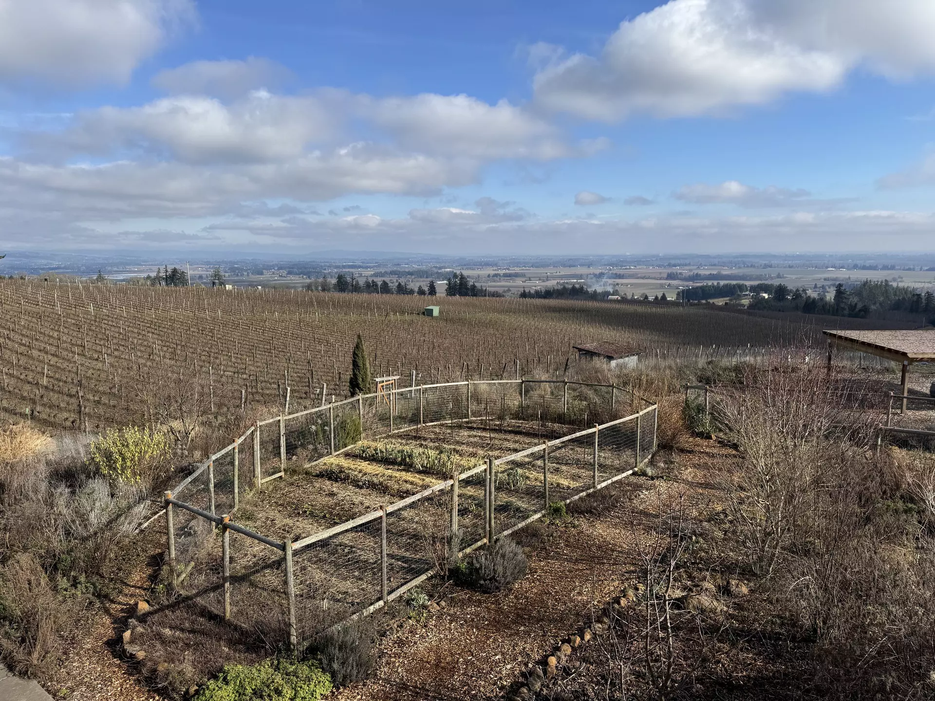 Willamette Valley's Brooks Wine, Amity, Oregon. Brekke Fletcher/Lonely Planet
