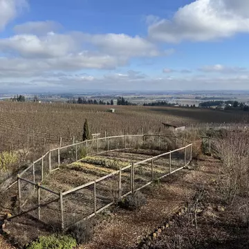 Willamette Valley's Brooks Wine, Amity, Oregon. Brekke Fletcher/Lonely Planet
