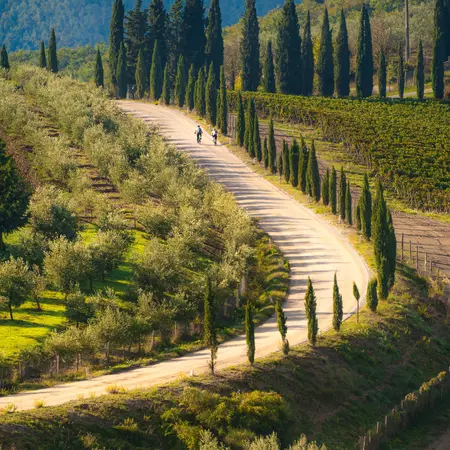 Bikers on a country road of San Donato in Perano, Tuscany. 