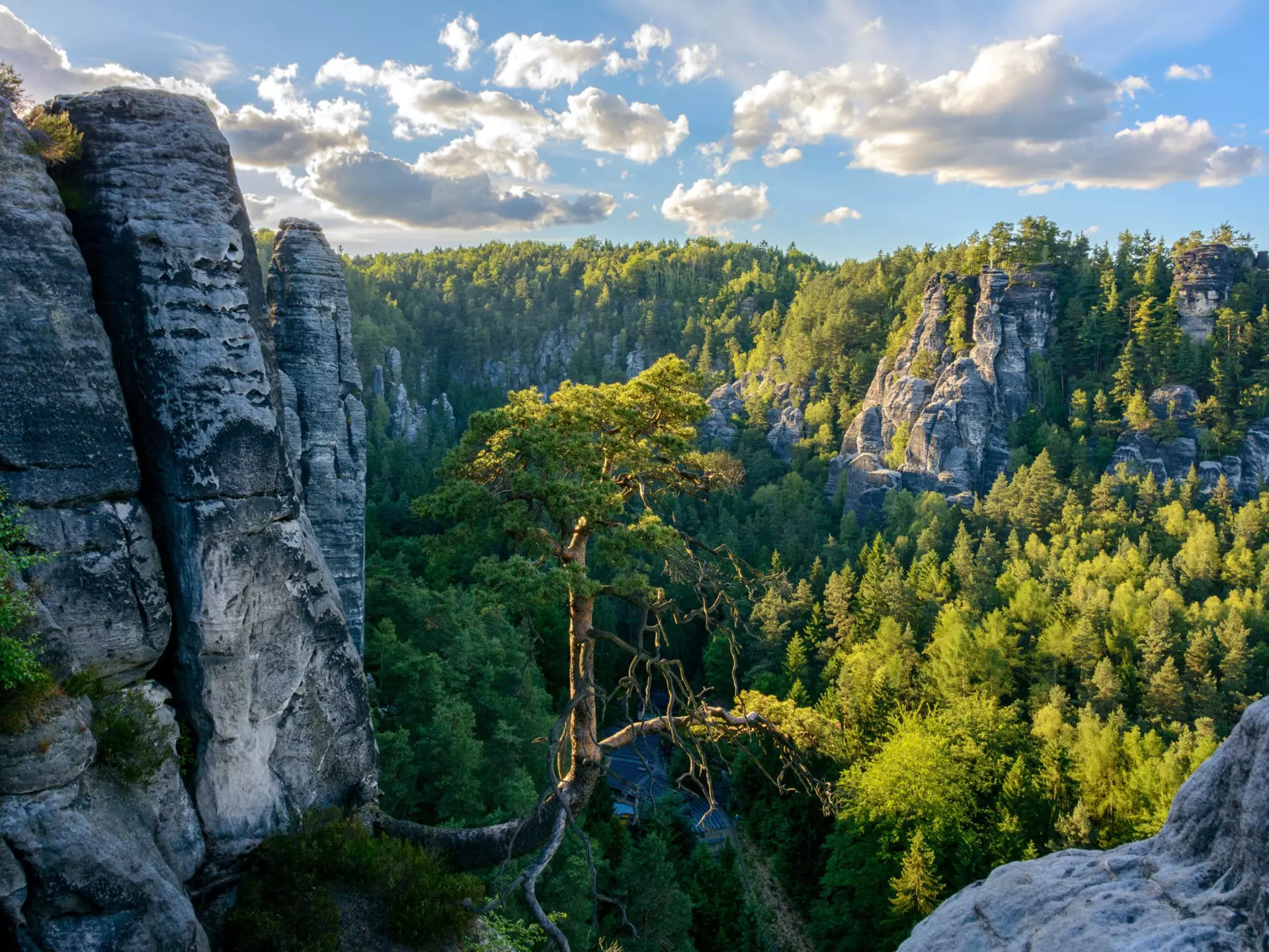 Saxon Switzerland National Park landscape.
1009463125
bastei, bridge, castle, cliff, climbing, defences, elbe, europe, famous, forest, forest landscape, formations, germany, hill, landmark, landscape, medieval, mountain, mountain landscape, national, national park, natural, nature, nature landscape, neurathen, park, rathen, rock, rock castle, rock-hewn, sandstone, saxon, saxon switzerland, saxony, scenic, schrammstein, stone, summer, switzerland, travel, tree, valley, view, tourism