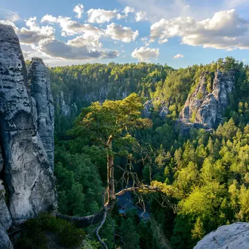 Saxon Switzerland National Park landscape.
1009463125
bastei, bridge, castle, cliff, climbing, defences, elbe, europe, famous, forest, forest landscape, formations, germany, hill, landmark, landscape, medieval, mountain, mountain landscape, national, national park, natural, nature, nature landscape, neurathen, park, rathen, rock, rock castle, rock-hewn, sandstone, saxon, saxon switzerland, saxony, scenic, schrammstein, stone, summer, switzerland, travel, tree, valley, view, tourism
