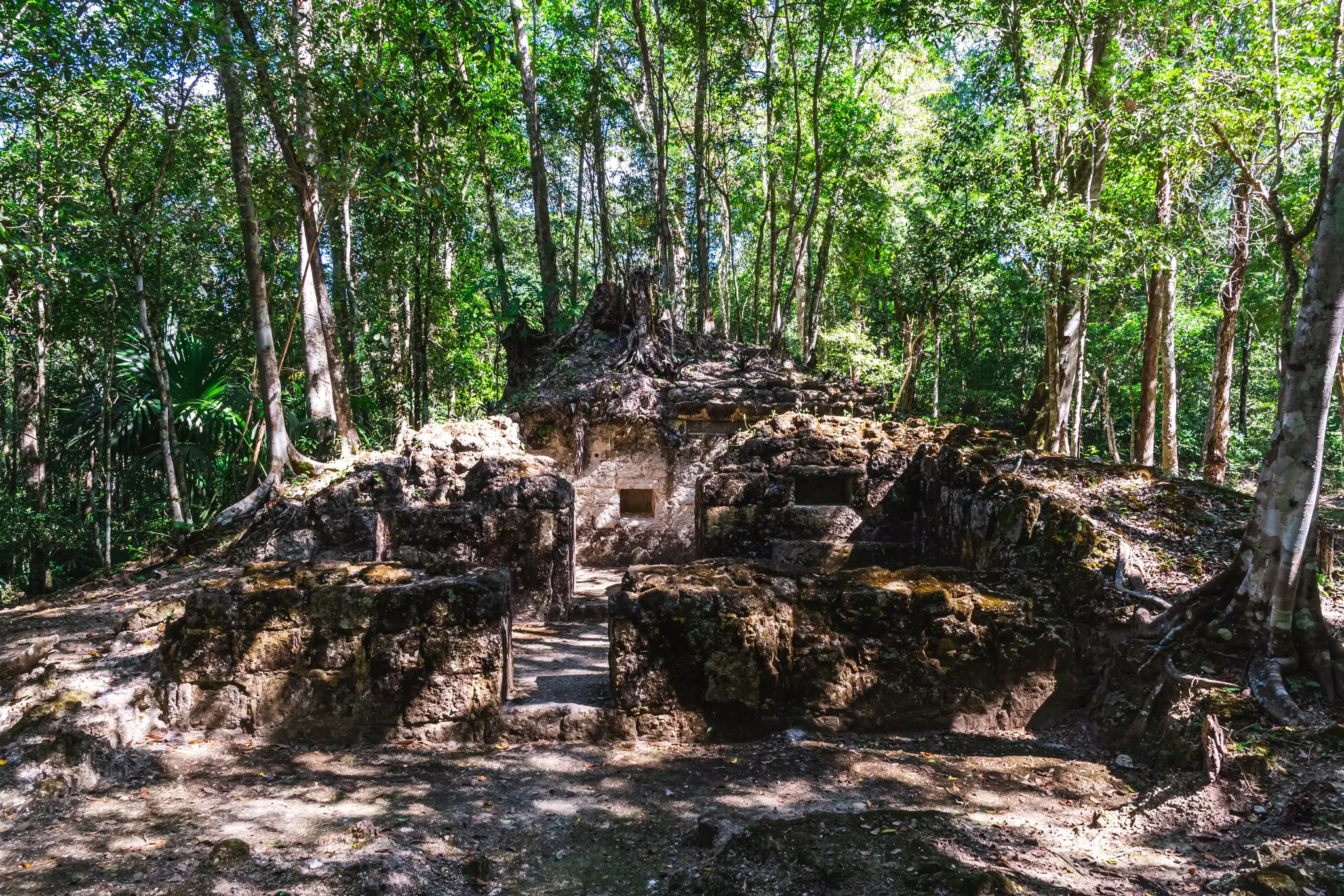 Ruins of an ancient house at El Mirador.