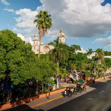 Pale stone church towers behind tall palms and leafy trees, with horse-drawn carriages parked on the street below.