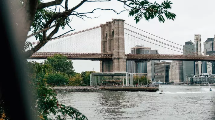A large brick bridge viewed through foliage near a waterfront in a city