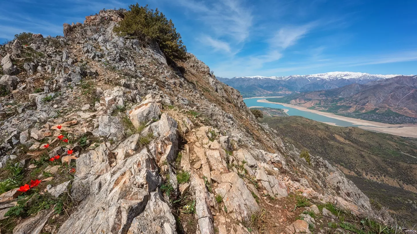 Uzbekistan’s variety of sights and landscapes offer something for every traveler © Getty Images