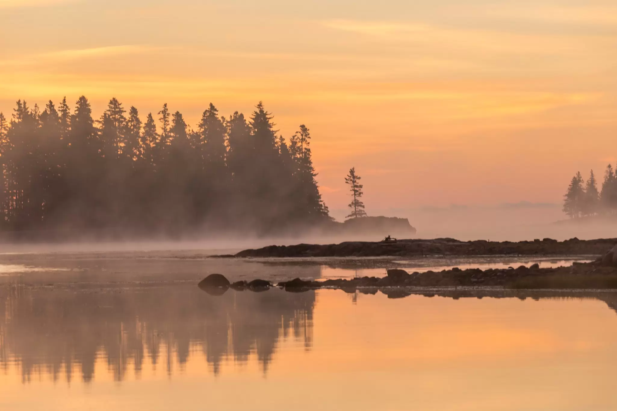 Mist over water at sunrise; trees are reflected in the water.