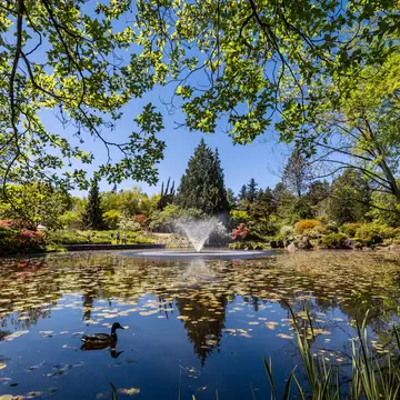 The main fountain and pond at VanDusen Botanical Gardens in Vancouver, BC, Canada.