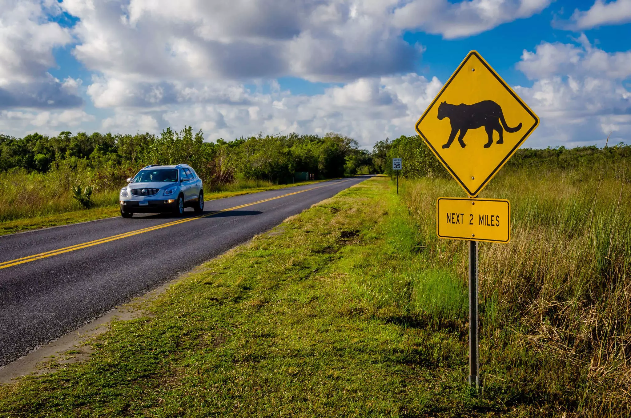 Roads within and leading to Everglades National Park are few and far between © Posnov / Getty Images
