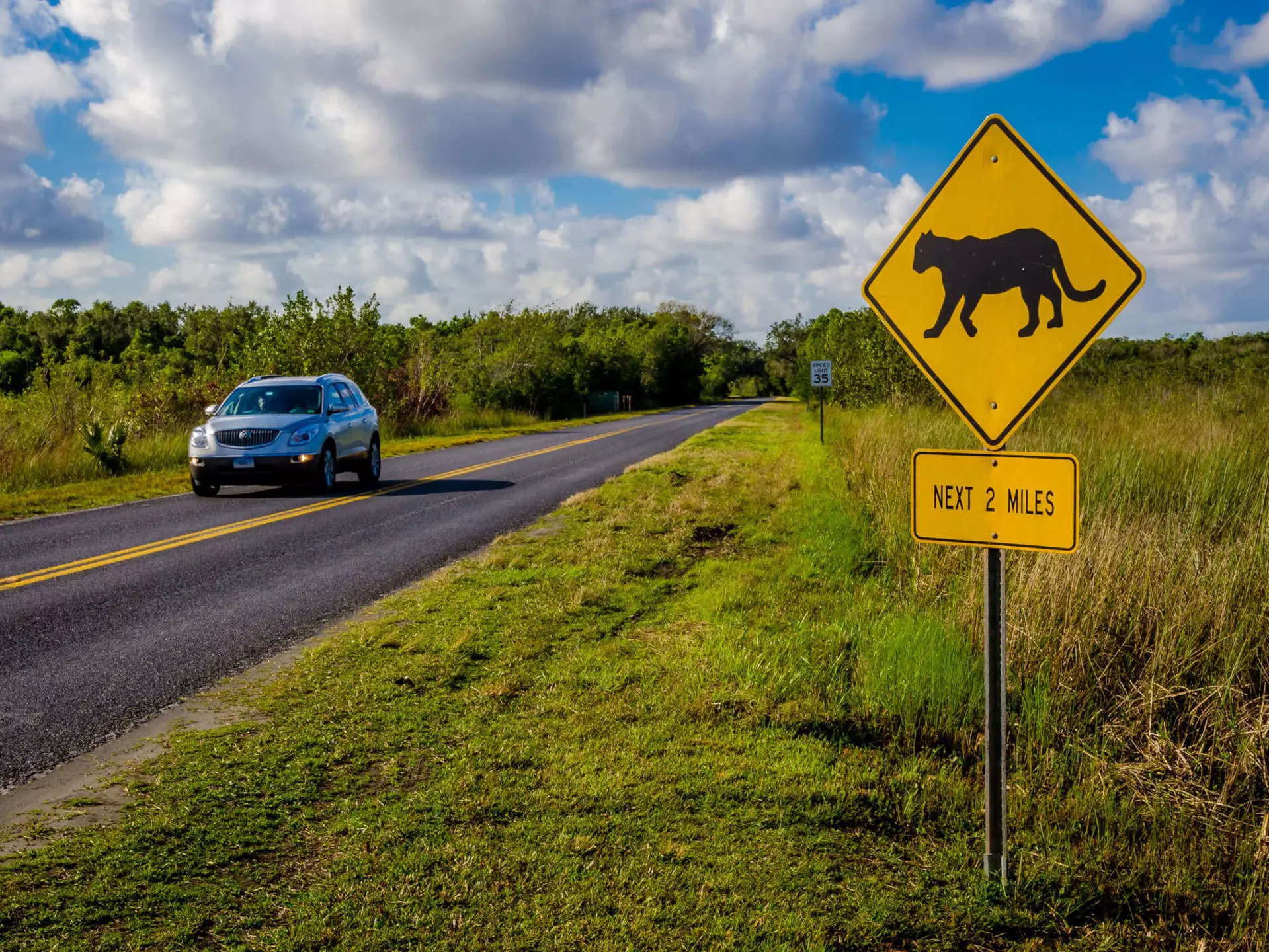 A car driving by a panther crossing sign at Everglades National Park, Florida.