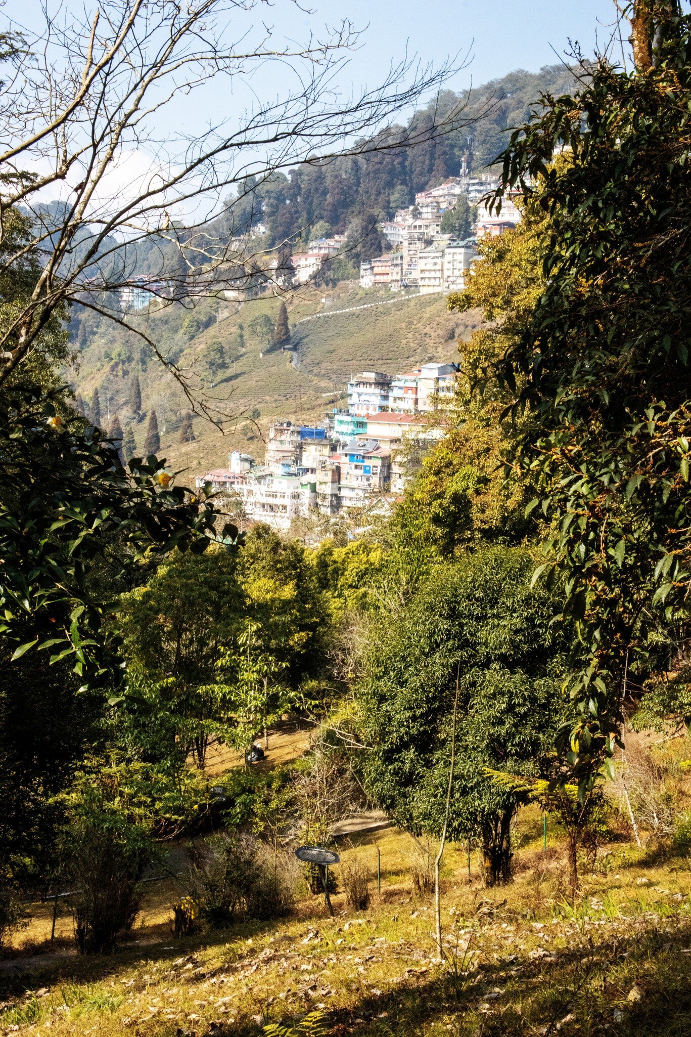 Views from the Lloyd Botanical Garden in Darjeeling, India.