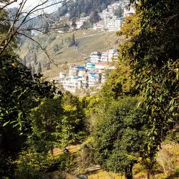 Views from the Lloyd Botanical Garden in Darjeeling, India.