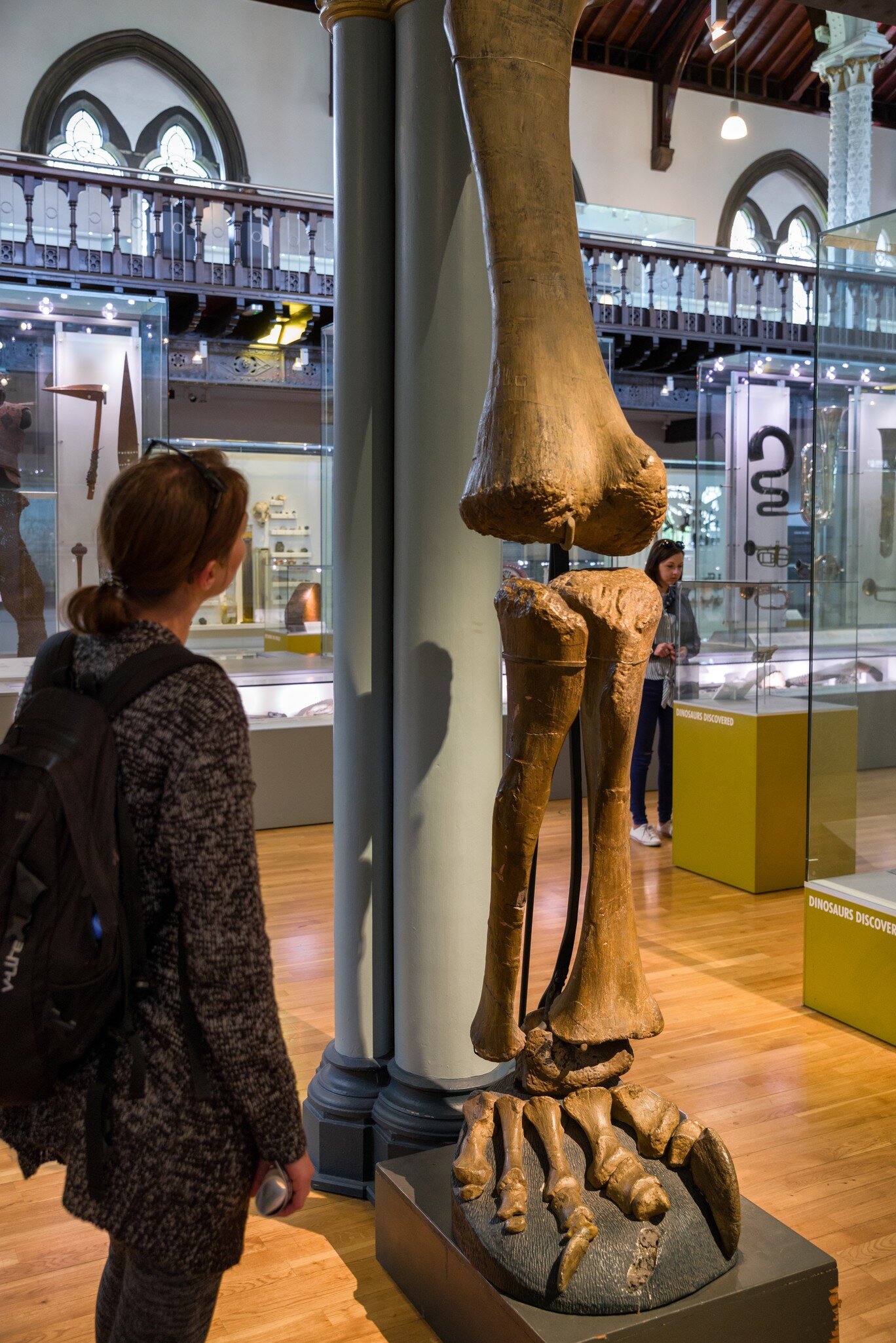 A woman admires an exhibition of a dinousar leg at Hthe unterian Museum at the University of Glasgow.