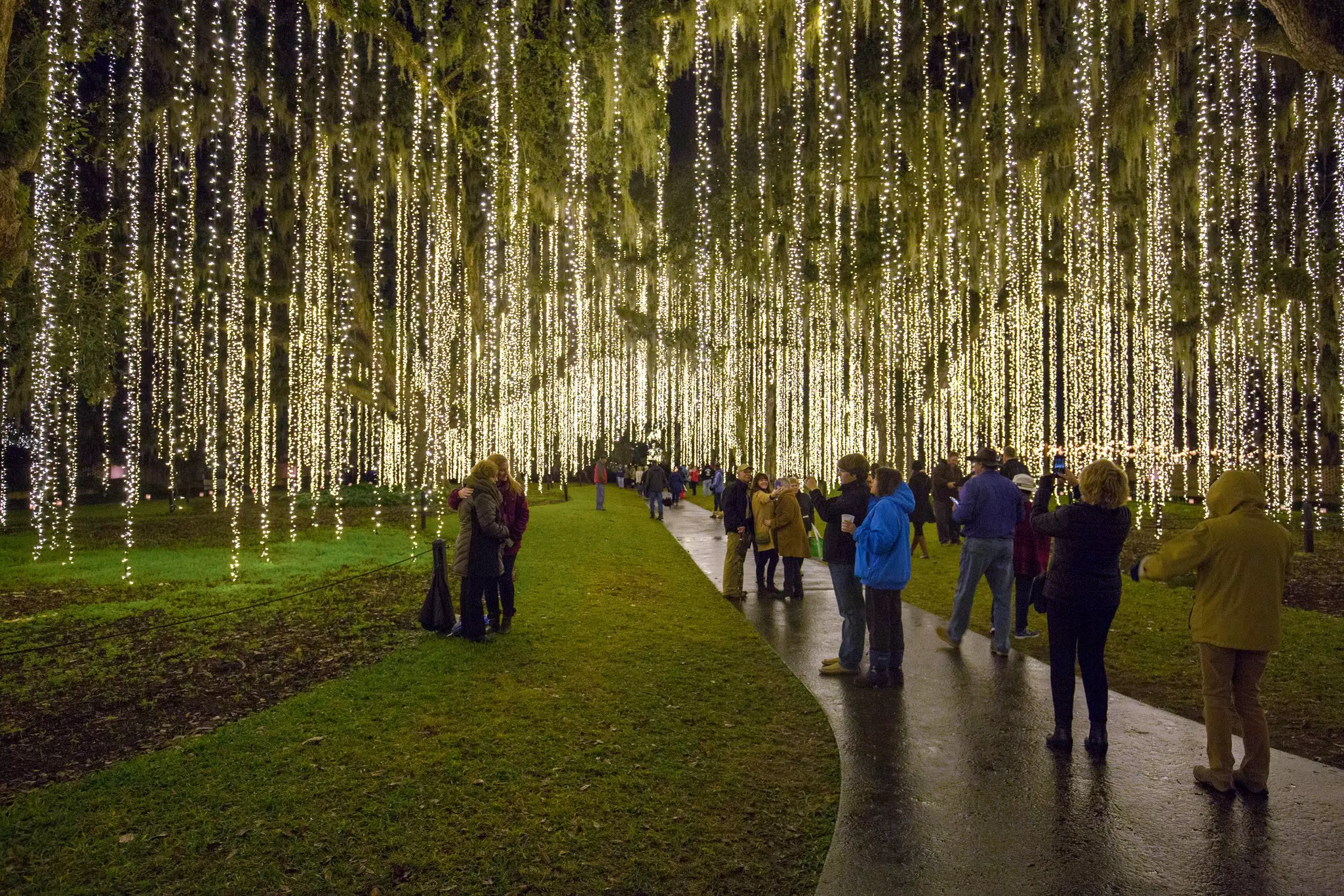 People taking photos among moss-draped trees that have strings of white lights hanging from them