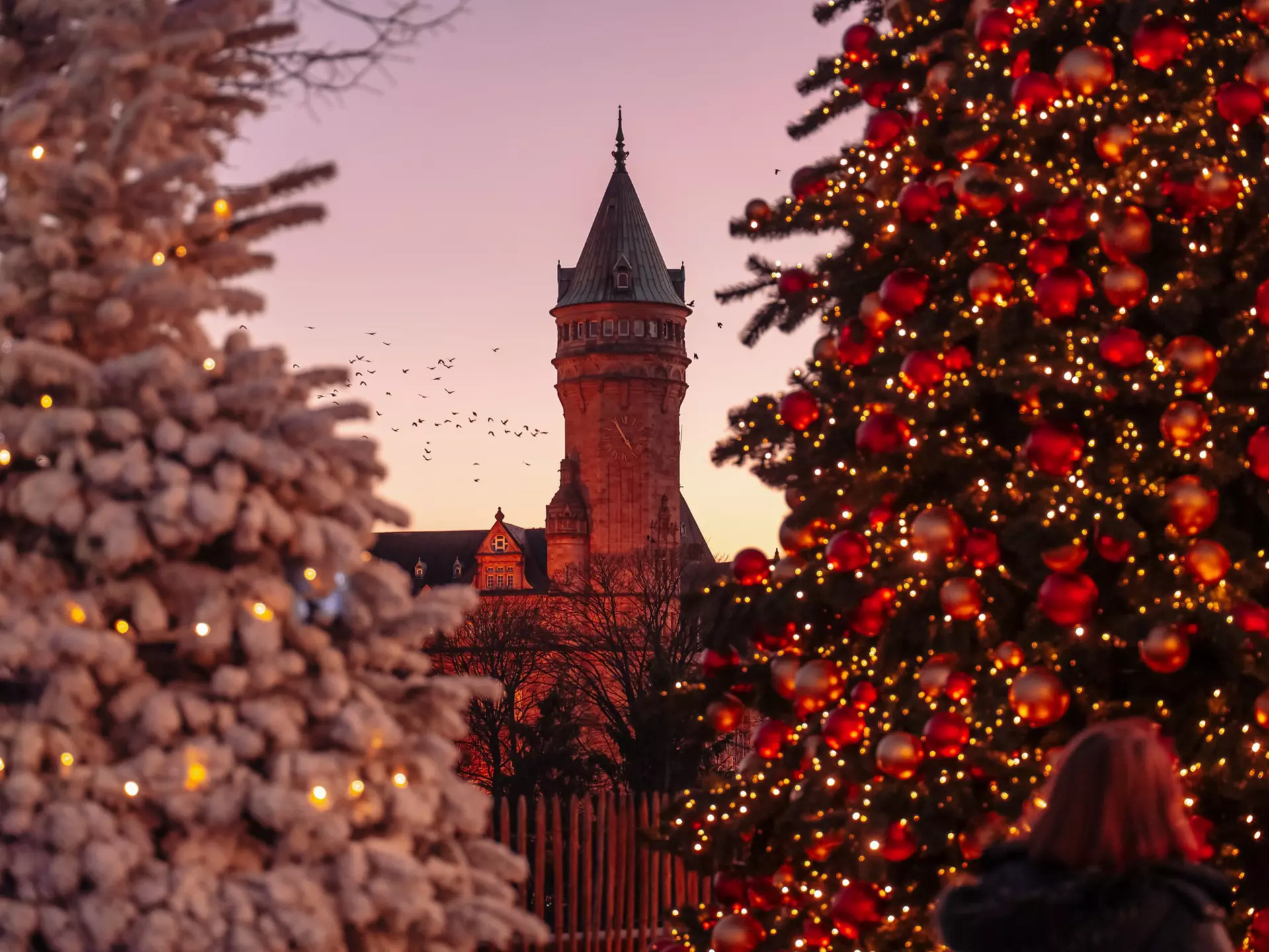 Find out which season will deliver you the ideal trip to Luxembourg. Sabino Parente/Shutterstock