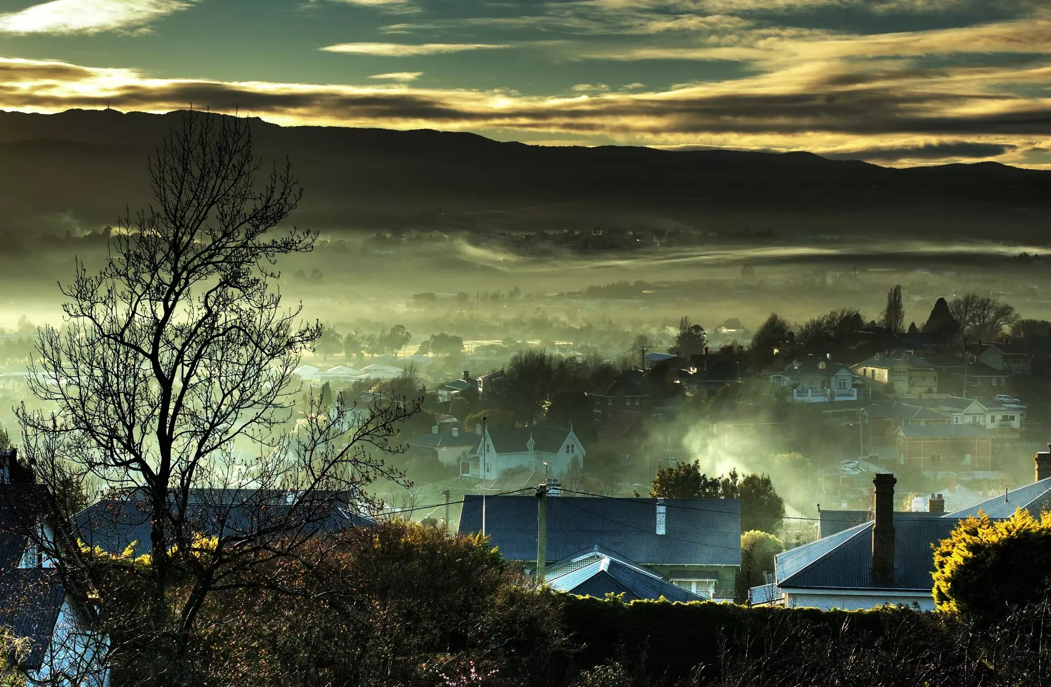 Early morning fog drifts alongside trees and houses in Launceston, Tasmania © Jesse Swallow / Getty Images