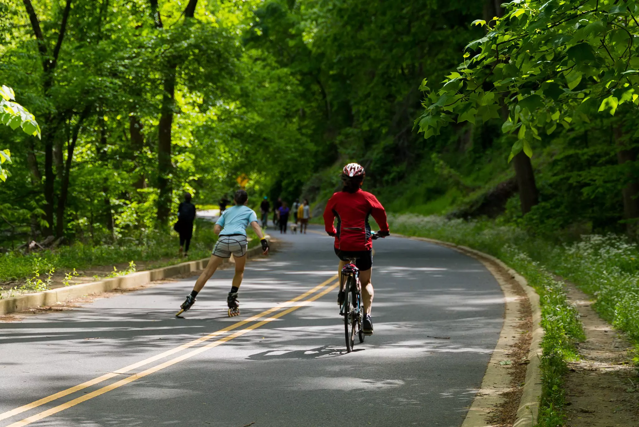 More than two million visitors a year enjoy the peaceful tranquility of Rock Creek Park © Courtesy of Destination DC