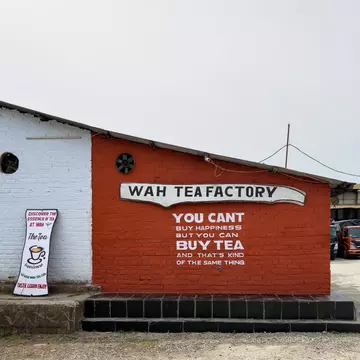 View from Tea estate ©Wah Lodge.jpeg