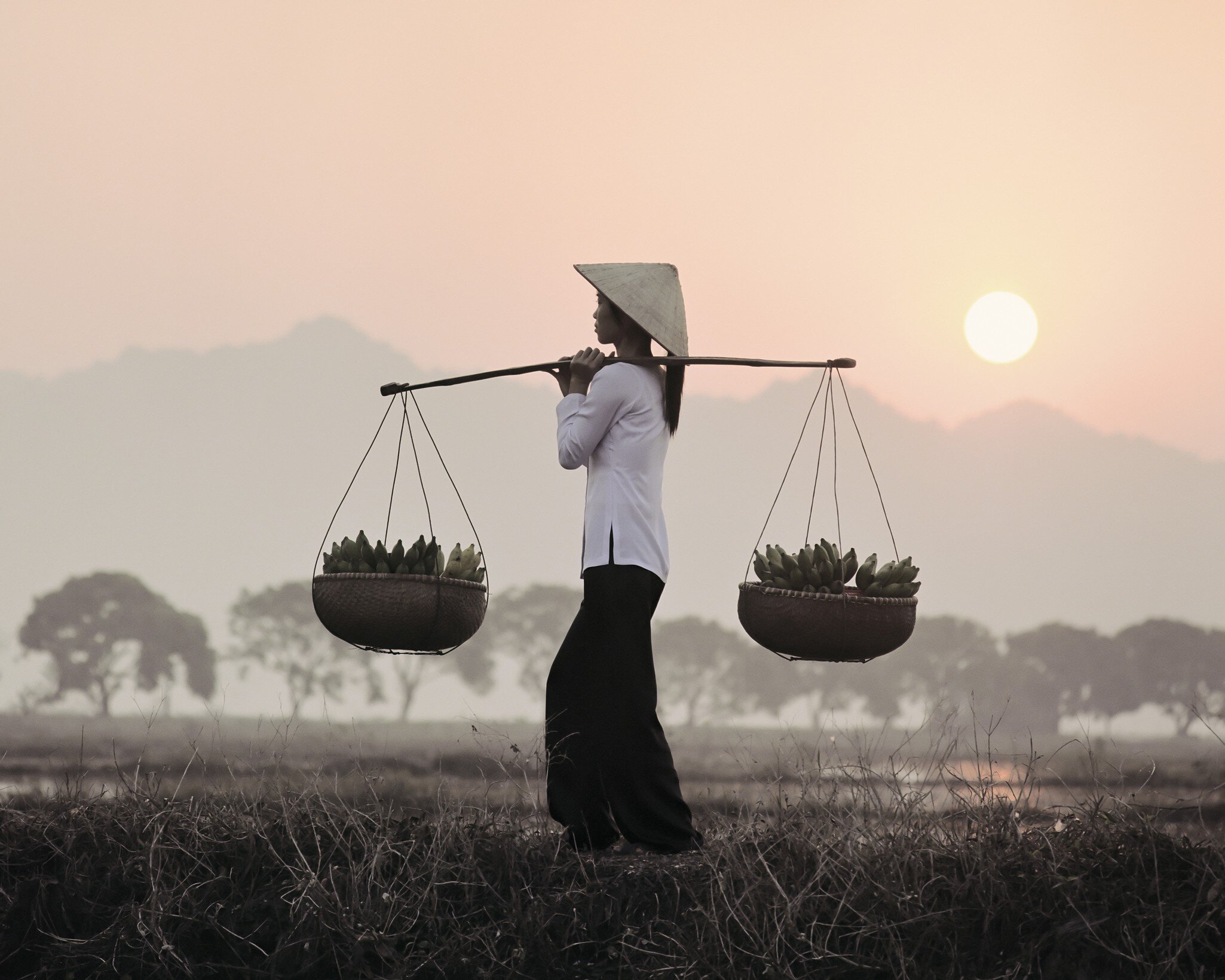 Vietnamese woman carrying baskets of bananas