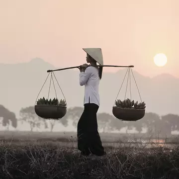 Vietnamese woman carrying baskets of bananas