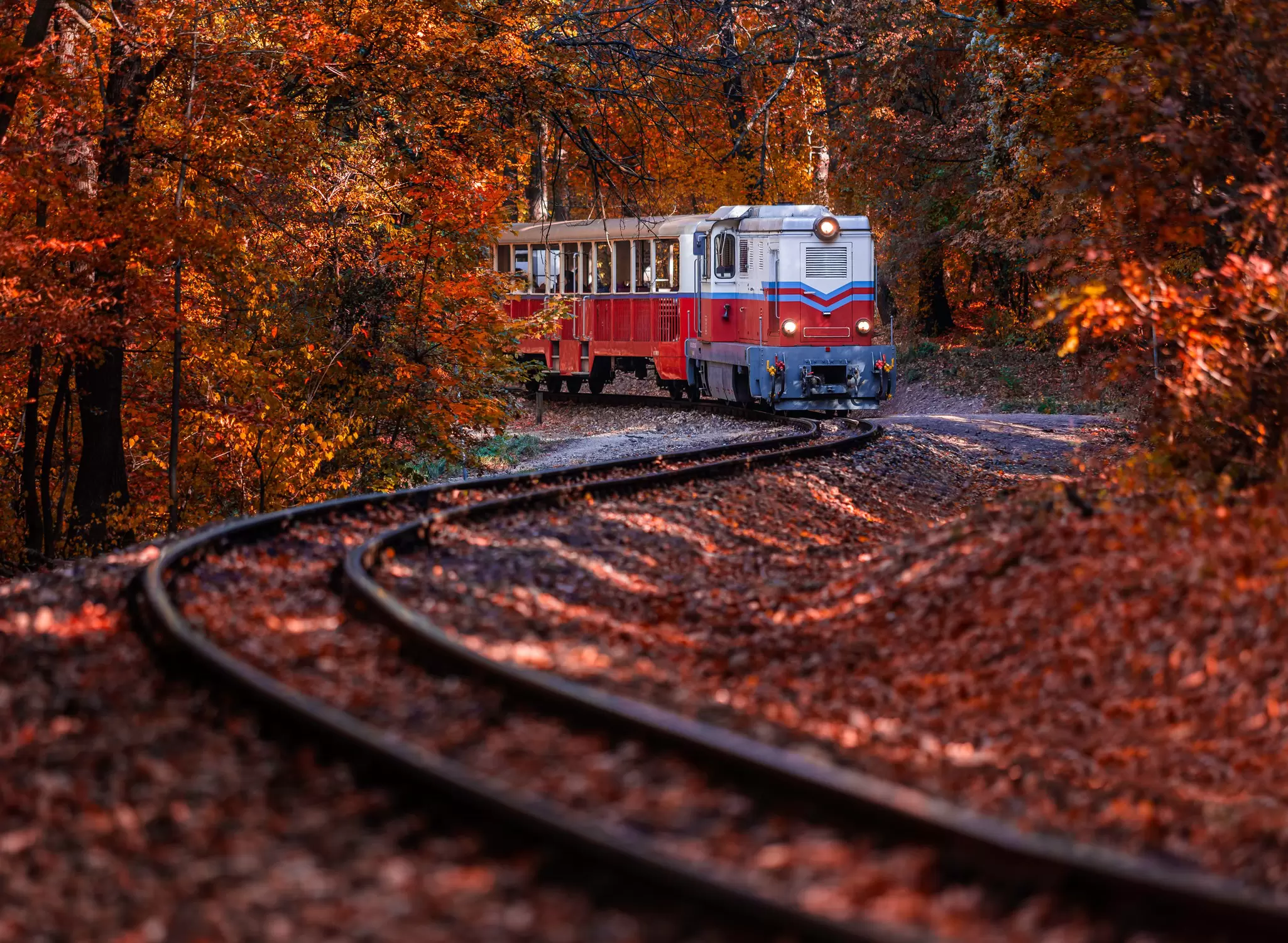 Beautiful autumn scenery with the Children's train on the S curve track in the Hűvösvölgy woods in Budapest, Hungary.