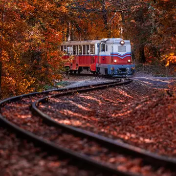 A small red and white train rounding a curve of track through a forest of orange autumn leaves.