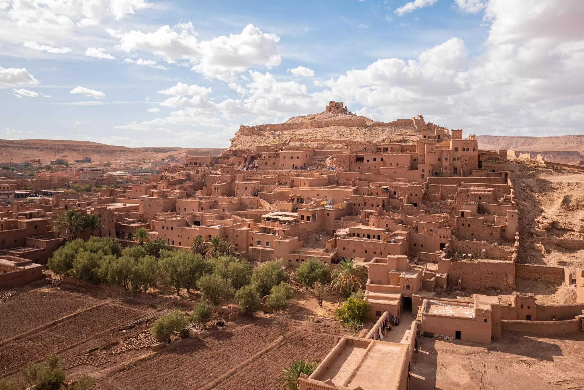 A long distance view of Ouarzazate, Morocco, with trees in the foreground