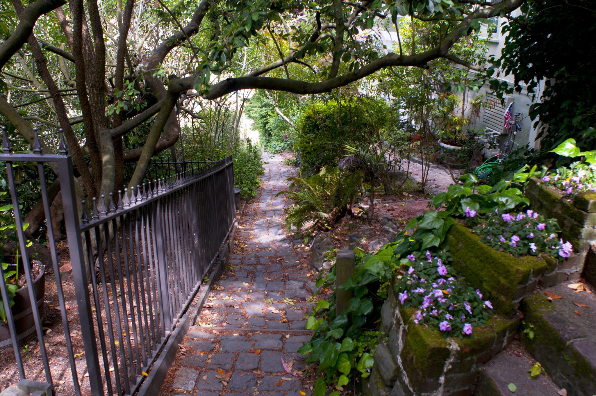 Macondray Lane in Russian Hill is bedecked with flowers, San Francisco.